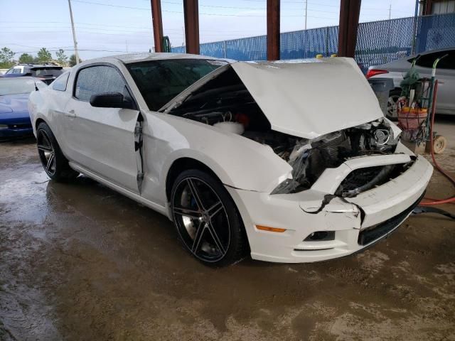 2013 Ford Mustang