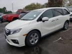 2019 Honda Odyssey EXL