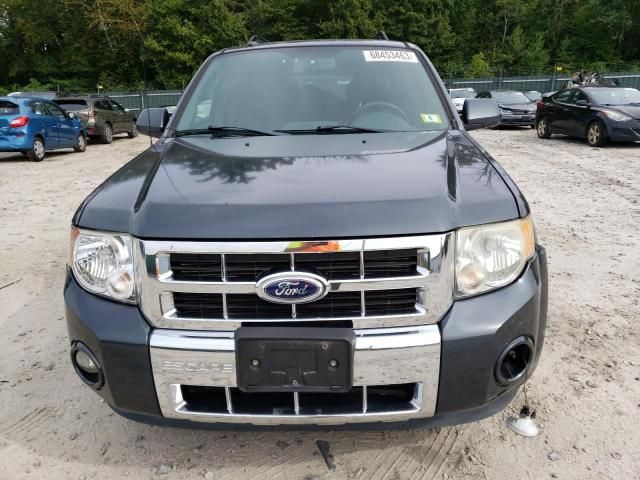 2009 Ford Escape Limited