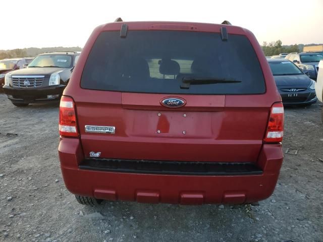 2009 Ford Escape XLT