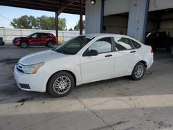 Ford Focus salvage cars for sale: 2010 Ford Focus SE