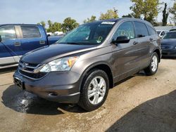 Salvage cars for sale at Bridgeton, MO auction: 2010 Honda CR-V EX