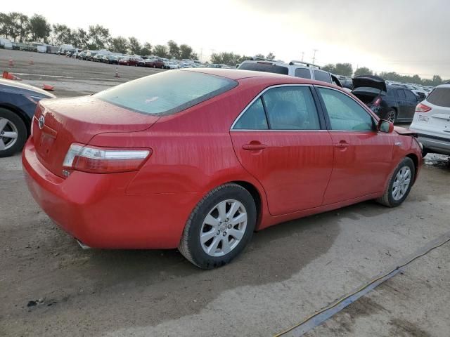 2009 Toyota Camry Hybrid