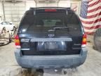 2005 Ford Escape XLT