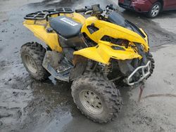 Can-Am ATV salvage cars for sale: 2008 Can-Am Renegade 500