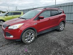 2014 Ford Escape SE en venta en Ottawa, ON