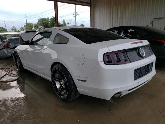 2013 Ford Mustang