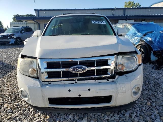 2011 Ford Escape Limited