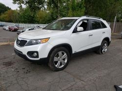 Salvage Cars with No Bids Yet For Sale at auction: 2013 KIA Sorento EX