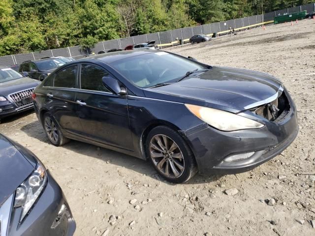 2011 Hyundai Sonata SE