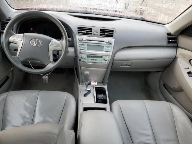 2009 Toyota Camry Hybrid