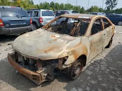 Vehiculos salvage en venta de Copart Bridgeton, MO: 2009 Toyota Camry Base