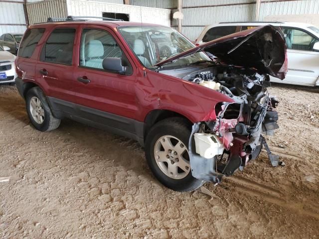 2006 Ford Escape XLT