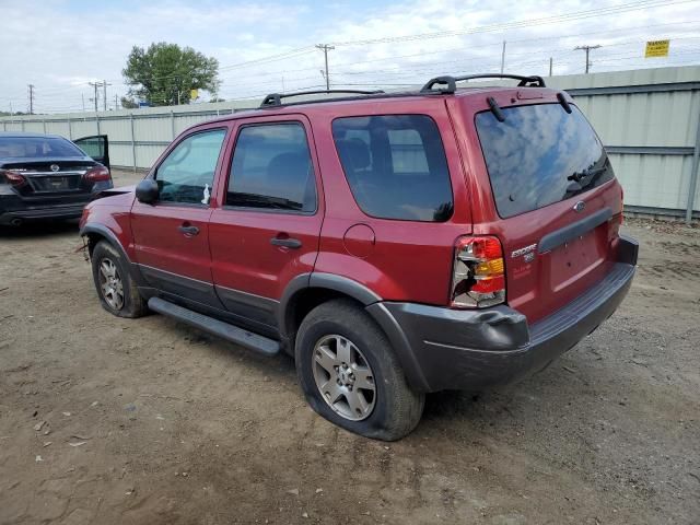 2004 Ford Escape XLT