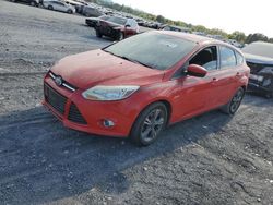 2012 Ford Focus SE en venta en Madisonville, TN