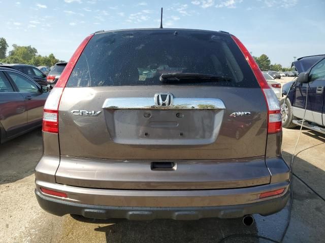 2010 Honda CR-V EX