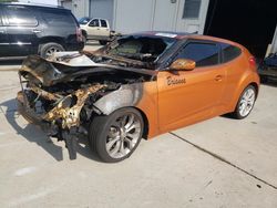 Hyundai salvage cars for sale: 2013 Hyundai Veloster