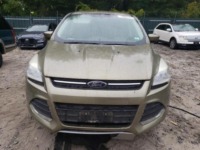 2013 Ford Escape SE