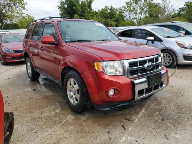 2012 Ford Escape Limited