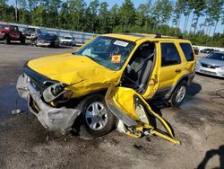 Salvage cars for sale at Harleyville, SC auction: 2002 Ford Escape XLT