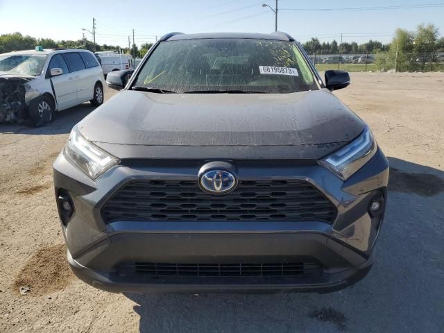 2023 Toyota Rav4 XLE Premium