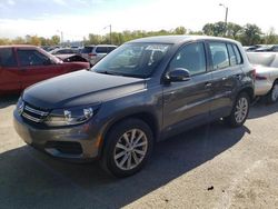 Volkswagen Tiguan s salvage cars for sale: 2017 Volkswagen Tiguan S