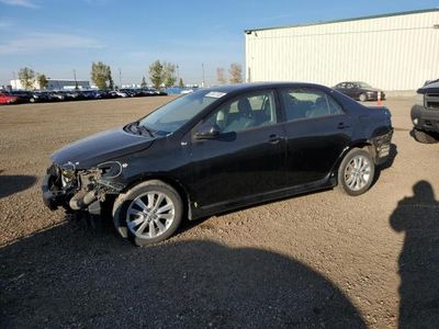 Salvage cars for sale from Copart Rocky View County, AB: 2010 Toyota Corolla Base