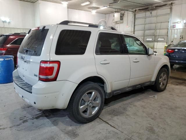 2010 Ford Escape Limited