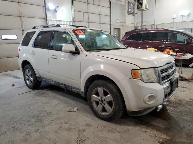 2010 Ford Escape Limited