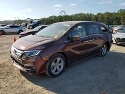 Honda salvage cars for sale: 2019 Honda Odyssey EXL