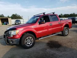 Salvage cars for sale at Newton, AL auction: 2012 Ford F150 Supercrew