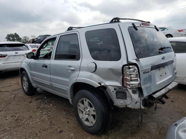 2003 Ford Escape Limited