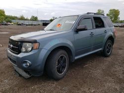 Salvage cars for sale from Copart Columbia Station, OH: 2012 Ford Escape XLT