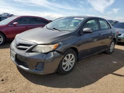 Salvage cars for sale at Brighton, CO auction: 2011 Toyota Corolla Base