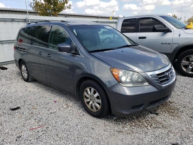 2009 Honda Odyssey EXL