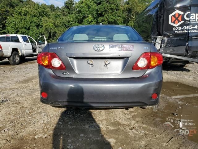 2010 Toyota Corolla Base