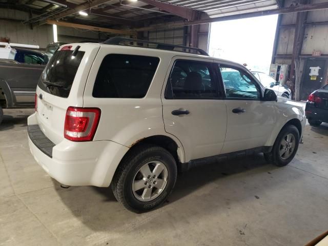 2011 Ford Escape XLT