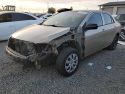 Salvage cars for sale from Copart Eugene, OR: 2010 Toyota Corolla Base