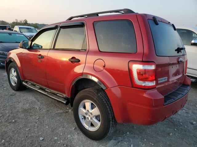 2009 Ford Escape XLT