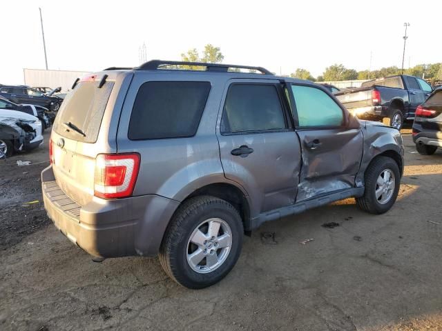 2009 Ford Escape XLT