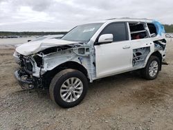 Salvage cars for sale from Copart Spartanburg, SC: 2023 Lexus GX 460