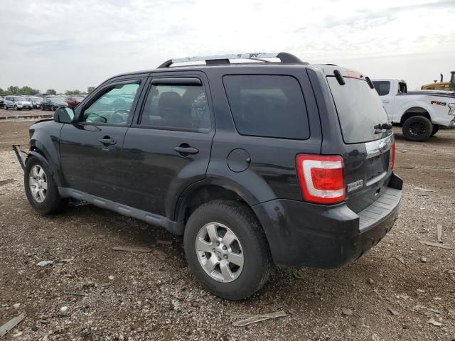 2011 Ford Escape Limited