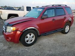 Salvage cars for sale from Copart Cahokia Heights, IL: 2009 Ford Escape XLT