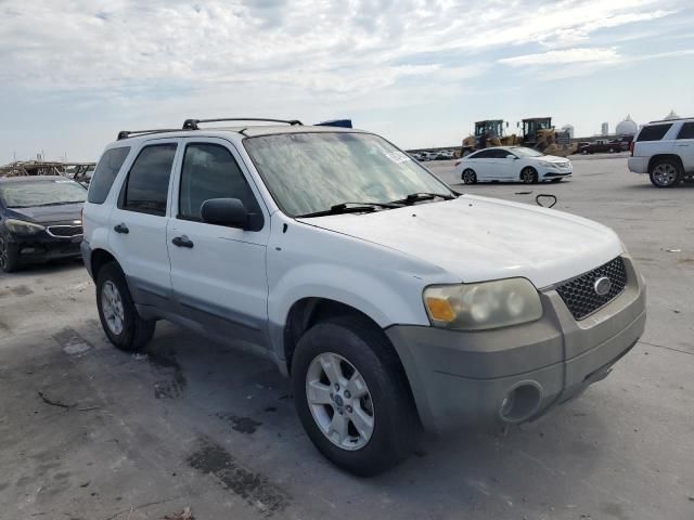 2005 Ford Escape XLT