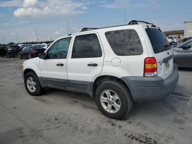 2005 Ford Escape XLT