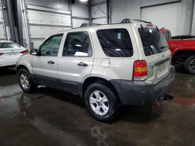 2005 Ford Escape XLT