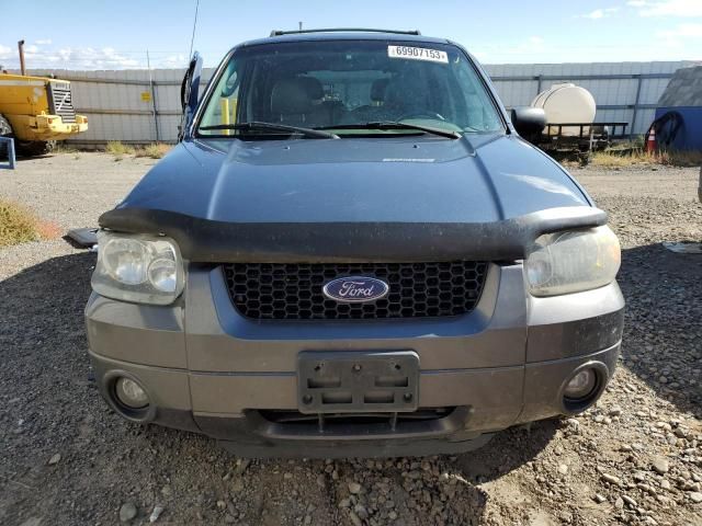 2005 Ford Escape XLT