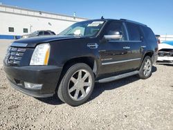 Salvage cars for sale at Farr West, UT auction: 2008 Cadillac Escalade Luxury