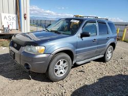 Salvage cars for sale at Helena, MT auction: 2005 Ford Escape XLT