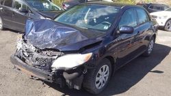 Salvage cars for sale from Copart Rocky View County, AB: 2012 Toyota Corolla Base